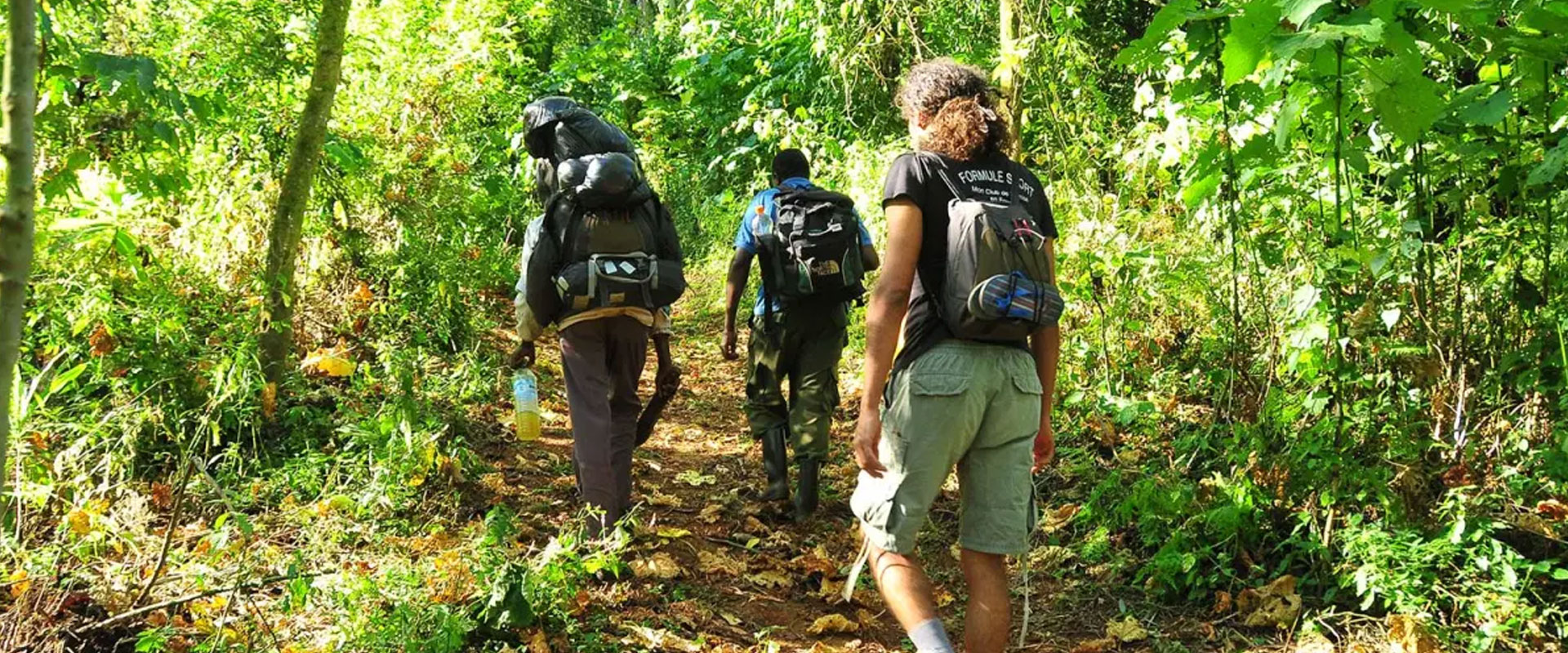 Hiking & Nature Walks