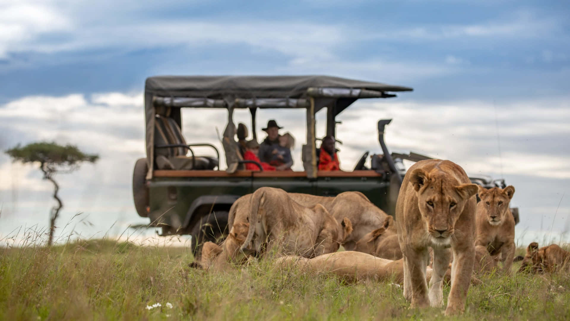 Kenya safari and Diani Beach combo Masai Mara Loita Hills